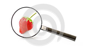 One single fresh strawberry on a white background under a magnifying glass. The concept of healthy food and environmentally friend