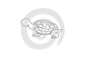 One single line drawing of big cute tortoise in Galapagos island vector illustration. Protected species national park conservation