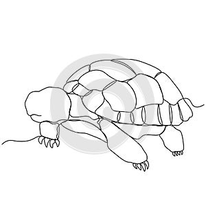 One single line drawing of big land tortoise for logo identity. Adorable creature reptile animal mascot concept for conservation