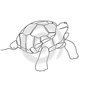 One single line drawing of big land tortoise for logo identity. Adorable creature reptile animal mascot concept for conservation