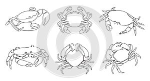 One single line drawing of crabs vector