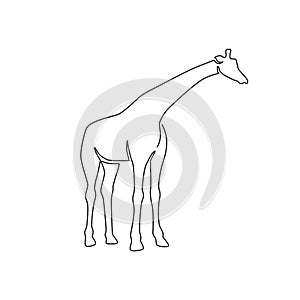 One single line drawing of cute giraffe for safari logo identity. Adorable giraffe animal mascot concept for Africa conservation
