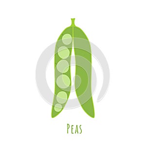 One Single pea seed-pod isolated on white