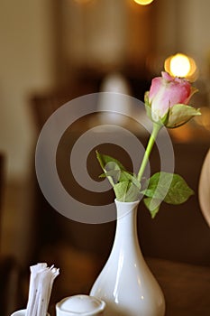 One singular pink rose with green leaves in white vase on a table in restaurant. Romantic feeling with flowers and candles in the