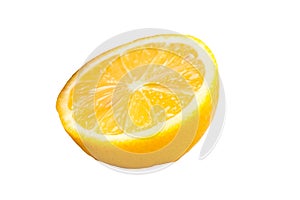 One slice of lemon citrus fruit isolated on white background. Lemon slice with shadow