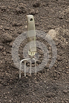 One small gray iron rake with a green plastic handle