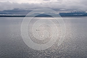 One Small Whale Tail in Vast Gray Alaska Ocean