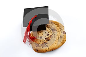 One smart cookie Idiom and a symbol for intelligent concept with close up on a cookie wearing a graduation cap isolated on white photo