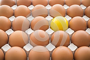 One special yellow egg in other normal eggs background. Think differently, standing out from the crowd, creative thinking ideas