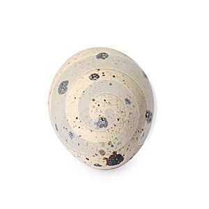 One speckled quail egg isolated on white