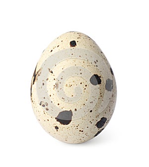 One speckled quail egg isolated on white