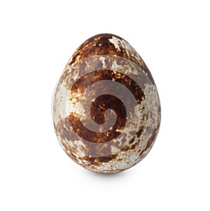 One speckled quail egg isolated on white