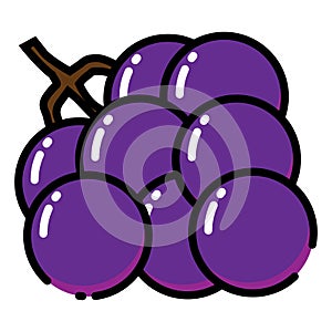 One sprig of clean purple grape