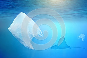 One stingray swimming near plastic bag in the open sea