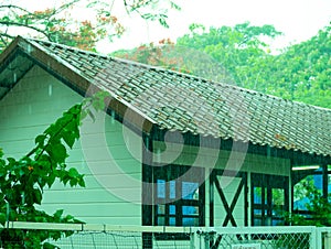 One-story house in the garden. It\'s raining on the corruagated roof tile (no rain gutters) photo