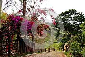 One street of CabeÃ§a de Boi village in Minas Gerais