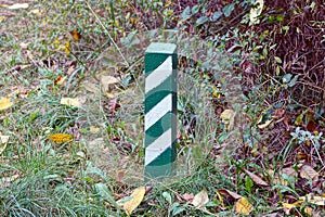 One striped signal pole among the green vegetation