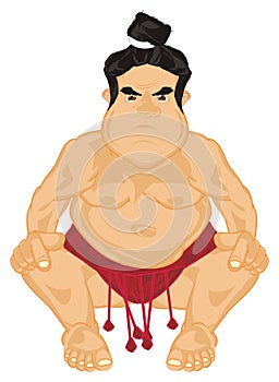 One sumo wrestler