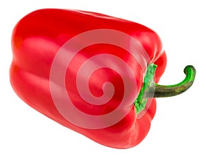 One sweet bell pepper isolated on white background cutout