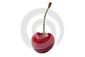 One sweet cherry