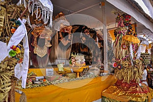 One of temple festival have lots barong and rangda