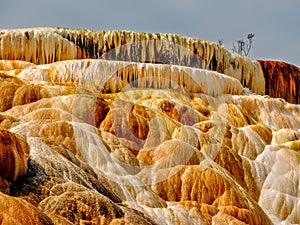This is one of the terraces at Mammoth Hot Springs In Yellowstone