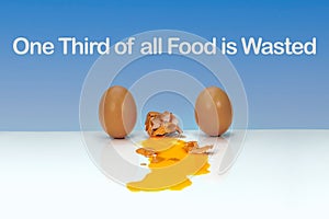 One third of all food is wasted text, 3 eggs photo