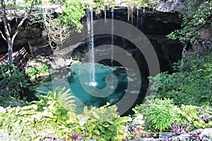 One of thousands cenotes in Yukatan peninsula