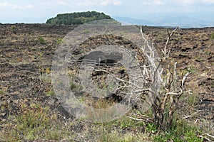 One of three Angel`s Caves t in Etna Park, Sicily photo