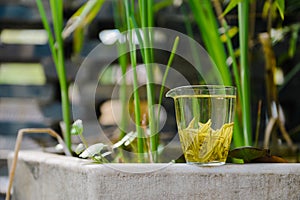 One of the three largest non-alcoholic beverages in the world for Chinese green tea