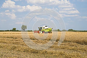 One thresher harvesting in the agricultural field