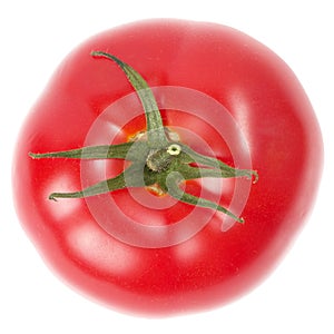 One tomato