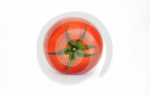 One tomato isolated in white