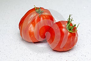 One tomato on a light background
