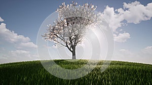 One tree growth Ecology Agriculture concept environment Nature spring season Environmental Green grass hill