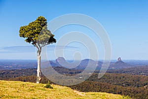 One Tree Hill in Queensland Australia