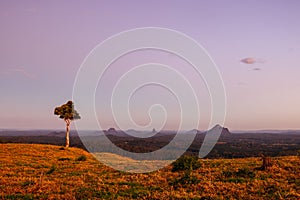 One Tree Hill in Queensland Australia