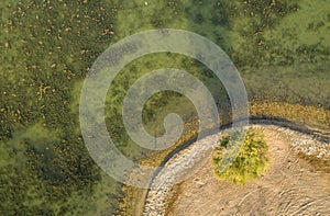 One tree near water of al qudra lake photo