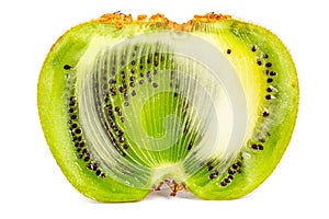 One ugly kiwi mutant fruit isolated on white background, cutted