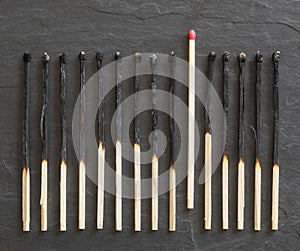 One unburned match in row of burned ones.