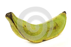 One unripe baking banana (plantain banana)