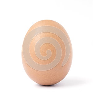 One upright brown chicken egg.