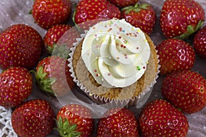 One vanilla cupcake with white cream and strawberries