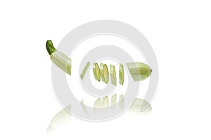 One vegetable marrow fresh sliced many small slices isolated on white floats freely in the air.