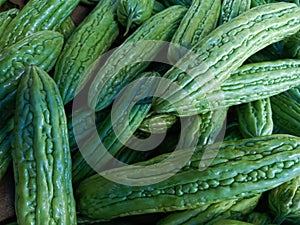 One of the vegetables that has its own characteristics, namely that it gas a quite bitter taste