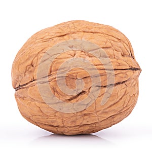 One wallnut isolated on white background. With clipping path
