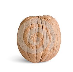 One walnut