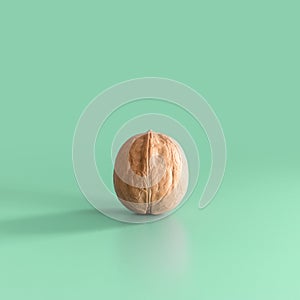 One walnut on a green background
