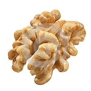 One Walnut isolated closeup without shell as package design element collection on white background. Nut macro.