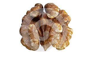 One Walnut isolated closeup without shell as package design element collection on white background. Nut macro. Walnut kernel.